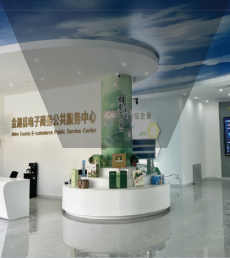 电子商务示范县